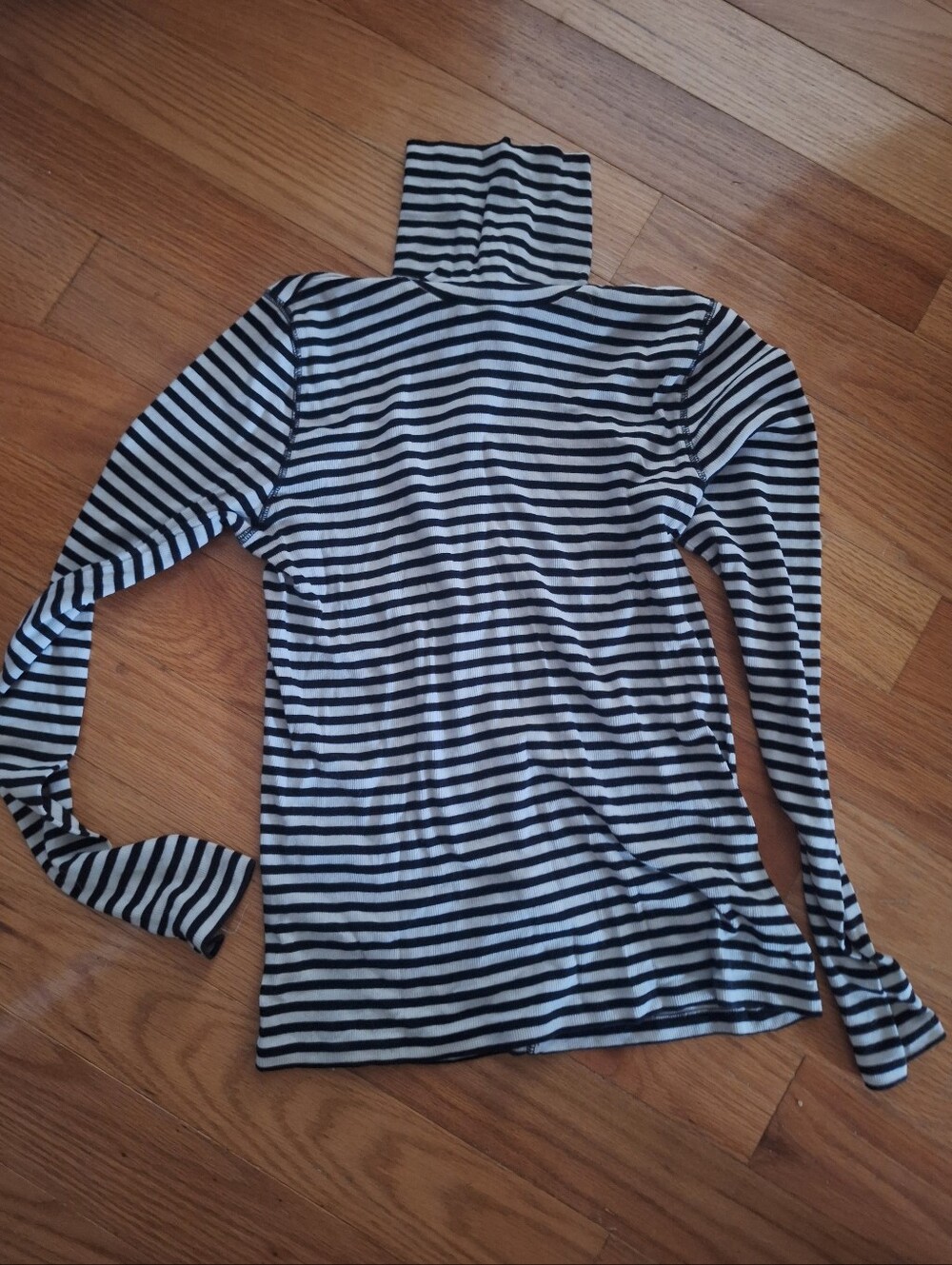 everlane striped turtleneck